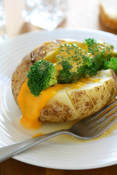 Baked Potato with Broccoli and Cheese