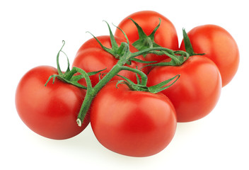 Closeup of tomatoes on the vine isolated on white