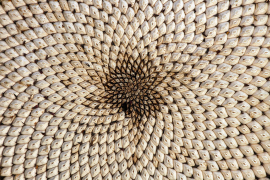 Reife Sonnenblume