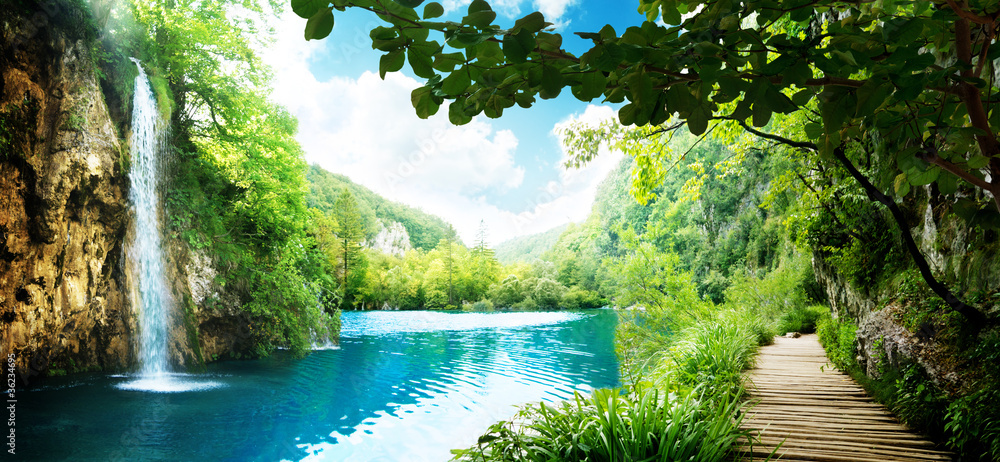 Canvas Prints waterfall in deep forest