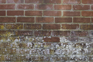 Abstract textured brick wall with white mould