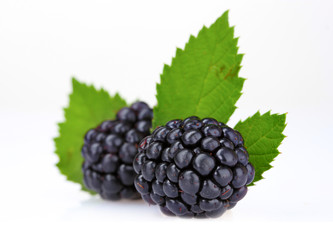 beautiful blackberries isolated on white