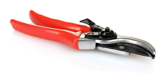 pruner isolated on white