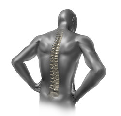 Human back spine