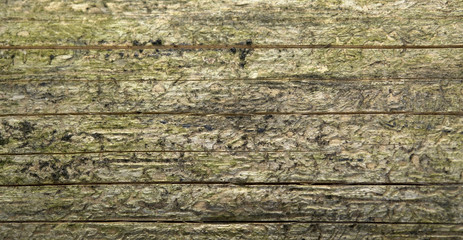 weathered wood detail
