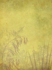 background grunge old paper