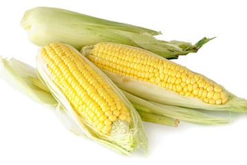 corn cobs