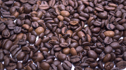 coffee beans