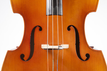 double bass