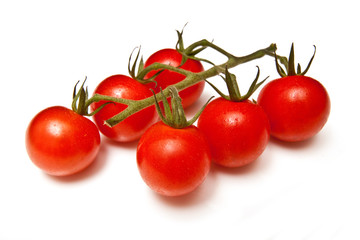 Vittoria vine tomatoes on a white studio background.