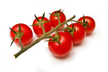 Vittoria vine tomatos on a white studio background.