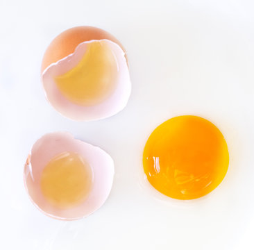 Ei und Eierschale