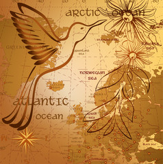 Antique background with map and hummingbird silhouette
