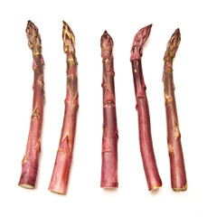 Purple asparagus  isolated on a white studio background.