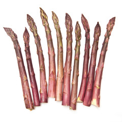 Purple passion asparagus  isolated on a white studio background.