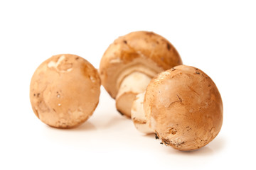 Three mushrooms champignon