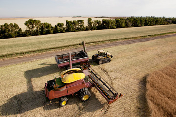 Harvester with Grain Cart