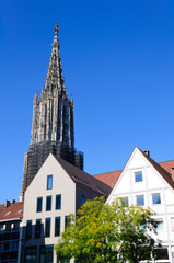 Obraz premium Ulm Cathedral