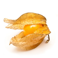 Physalis fruit isolated on a white studio background.