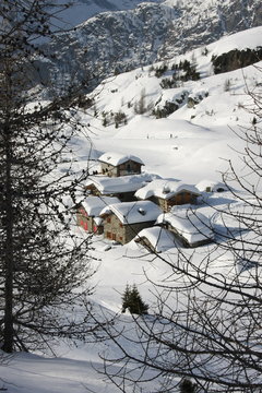 over the branches...