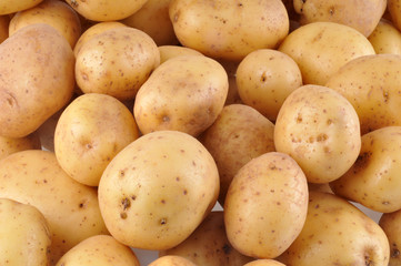 Patates