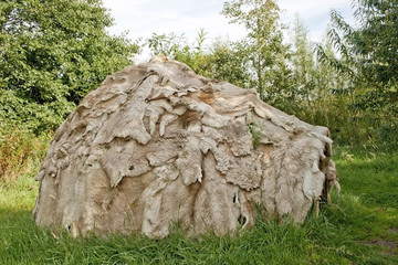 Mesolithic Hut