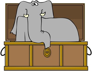 Elephant In A Trunk