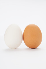 2種類の卵