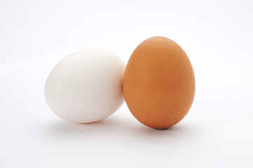 ２種類の卵