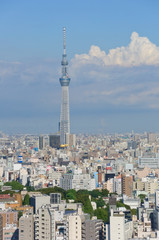 Tokyo Sky Tree and Downtown