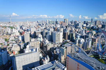 Tokyo Sky Tree and Downtown