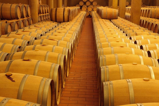 Weinkeller, Eichenf&auml;sser, Rotwein, Gew&ouml;lbekeller