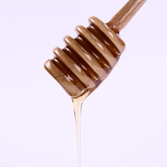 Honey on a honey stick