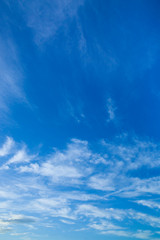 Fototapeta premium background[autumn_sky]_01