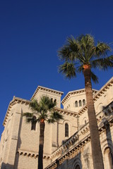 Fototapeta na wymiar katedra i palmy