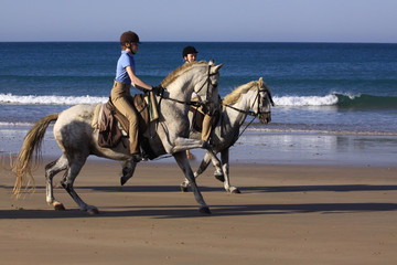 ausreiten am strand