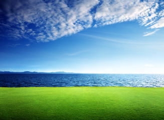 Fototapeta na wymiar green grass and caribbean sea