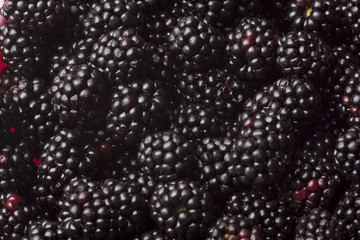 Blackberry