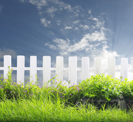 White fence and green grass