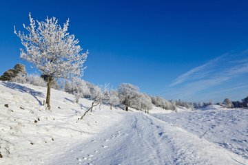 Snowy winter landscape