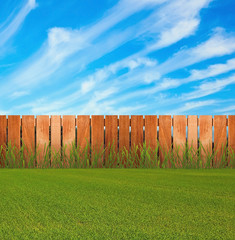 Fototapeta premium Green grass in garden