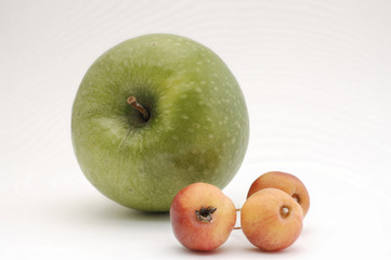 Granny Smith Apfel und Zieräpfel