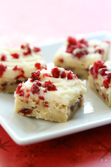 Cranberry Squares