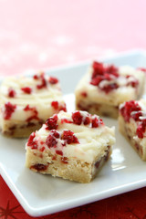 Cranberry Squares