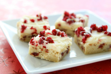 Cranberry Squares