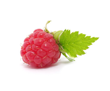 Raspberry