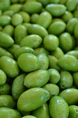 olive