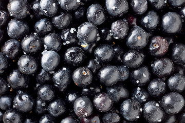 Black Olives with Salt