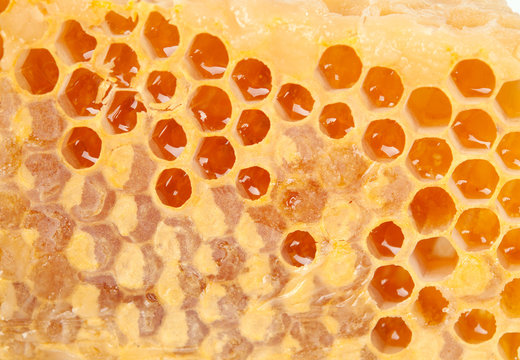 Honeycomb macro