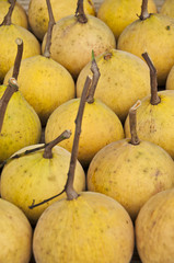 Asian tropical fruit name santol